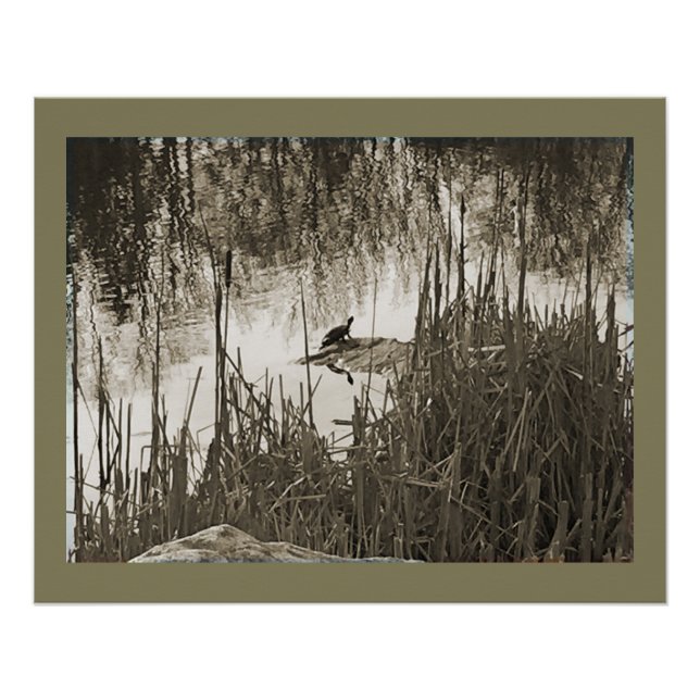 Pôster Solstício de inverno (Frente)