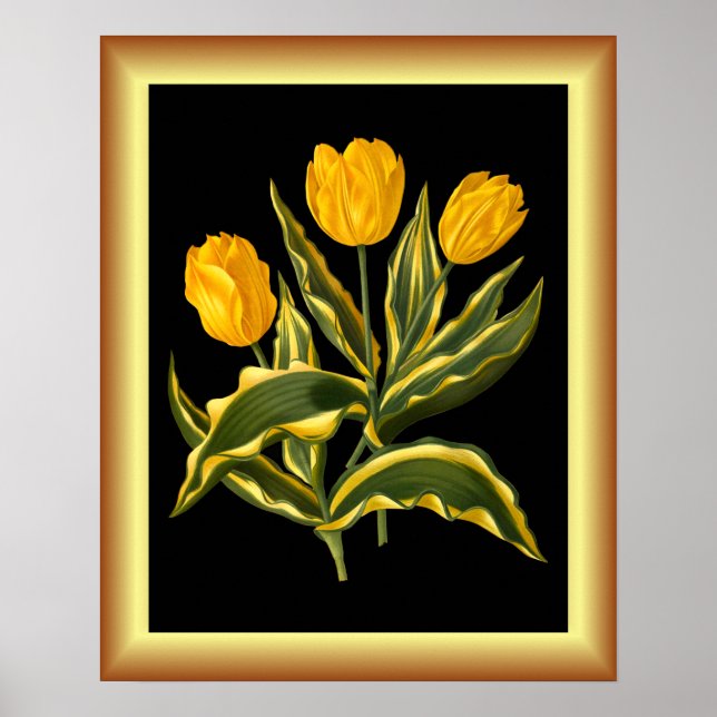 Poster Solteiro Antecipado das Tulipas Amarelas ~ Impress (Frente)
