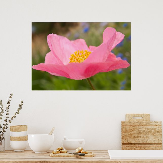 Poster Solteiro Cor-de-rosa Fotografia com cópia de segur (Cozinha)