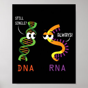 Poster Solteiro Dna Sempre Faz Ciência Engraçada Biologia