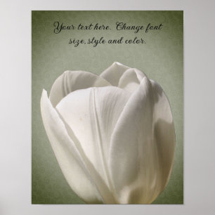 Poster Solteiro White Tulip Flower Crie seu próprio texto