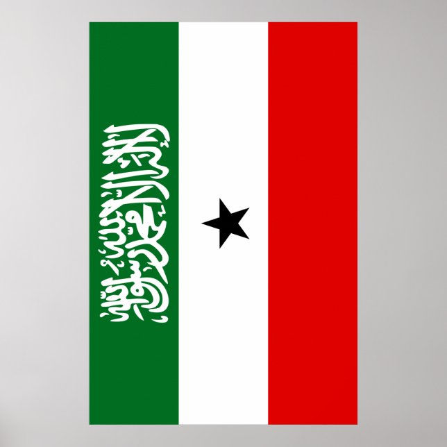 Poster Somaliland Flag (Frente)
