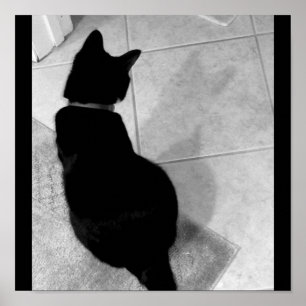Pôster Sombra B+W da Lucy