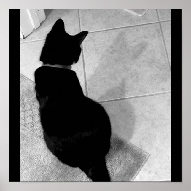 Pôster Sombra B+W da Lucy (Frente)