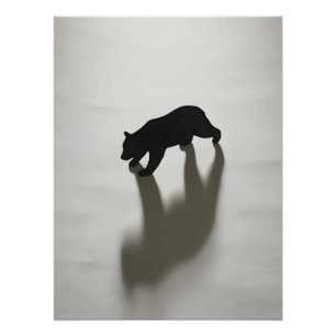 Pôster Sombra de Urso Negro na Solidão Branca
