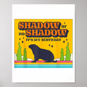 Poster Sombra ou Sem Sombra É Minha Festa de Aniversário 