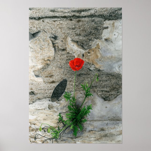 Poster Sombra solteiro redondo (Frente)