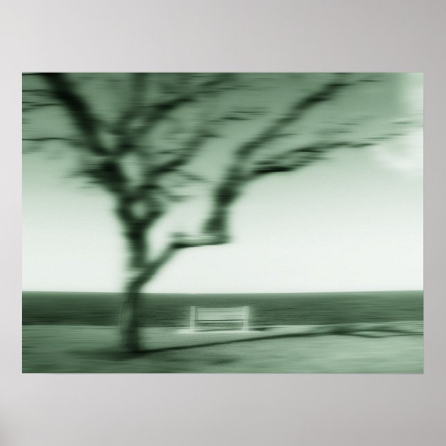 Pôster sombras (Frente)