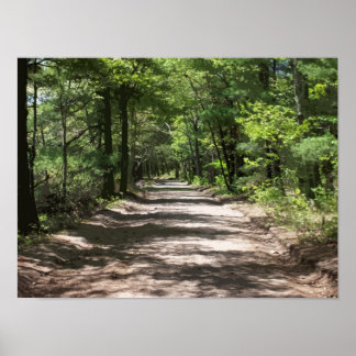 Pôster Sombras à tarde