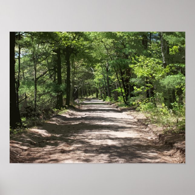 Pôster Sombras à tarde (Frente)