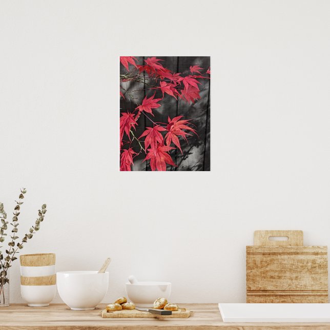 Poster Sombras de Folhas Vermelhas de Ácer Japonês (Cozinha)