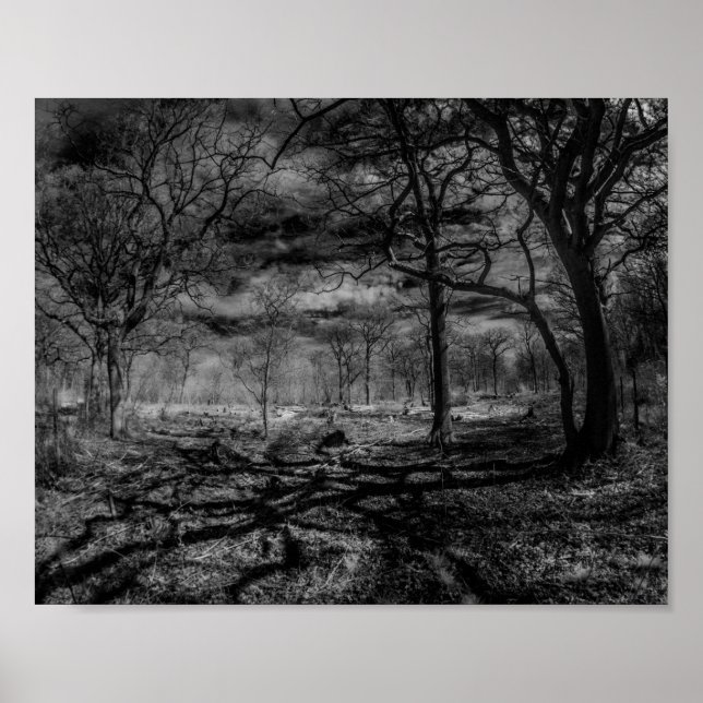 Poster Sombras infravermelhos na floresta (Frente)