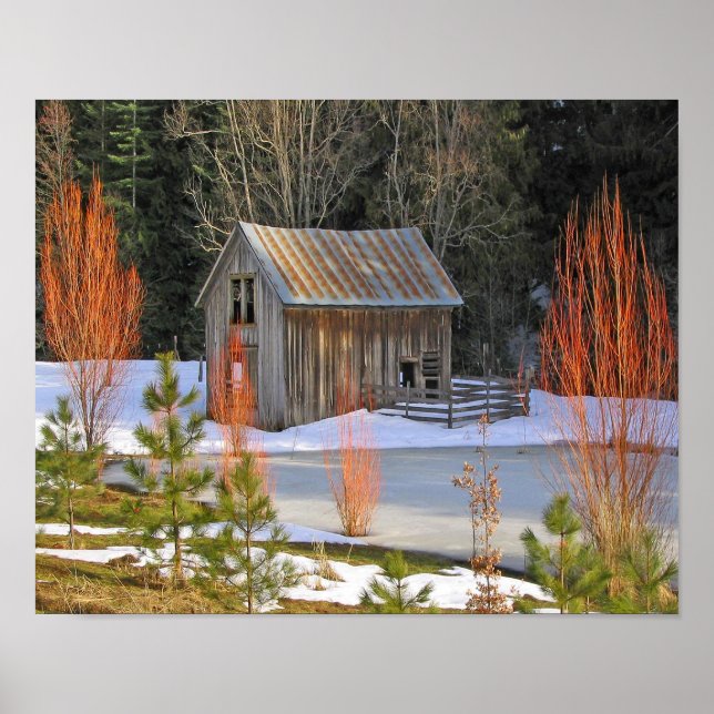 Poster Sombreado de Neve (Frente)
