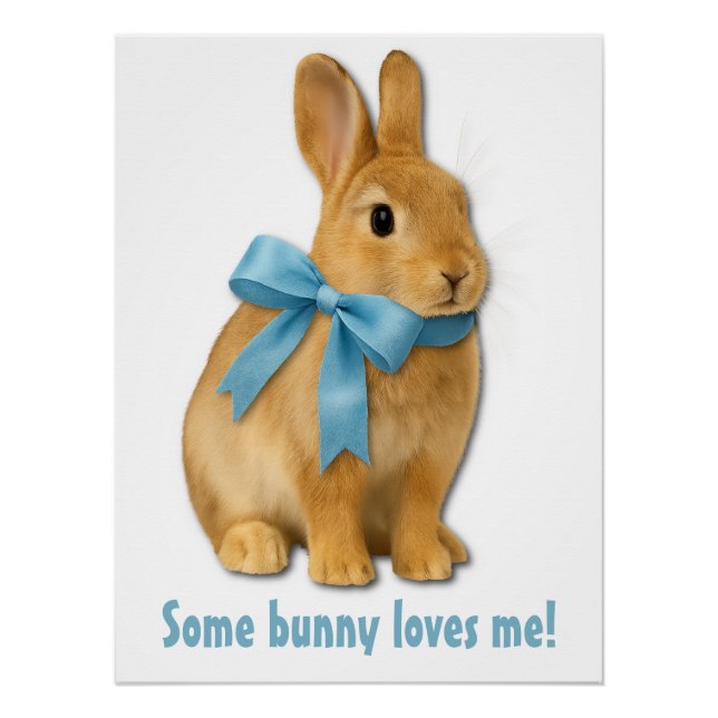 Pôster Some bunny loves me! (Frente)