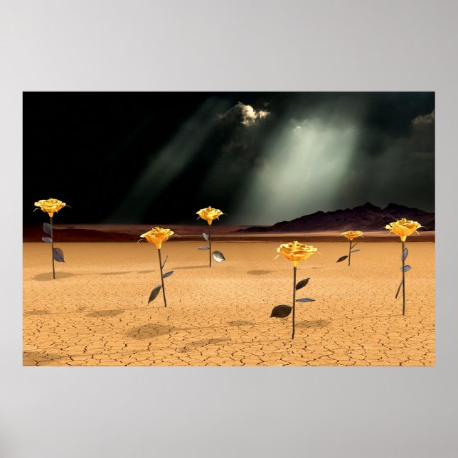 Poster Somewhere No. 3 (Frente)