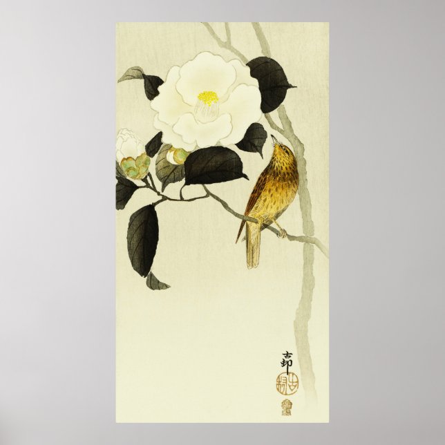 Poster Songbird & Camelia (Frente)
