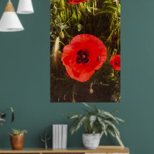 Sonhadora de Papoula Floral – Arte de Fantasia Bot