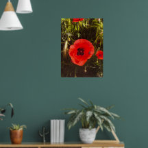 Sonhadora Flor de Papoula – Arte Botânica Fantásti