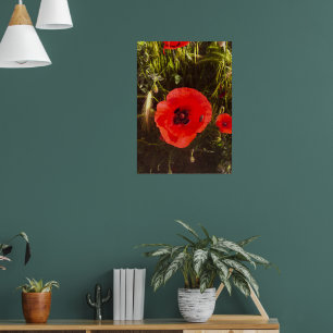 Poster Sonhadora Flor de Papoula – Arte Botânica Fantásti