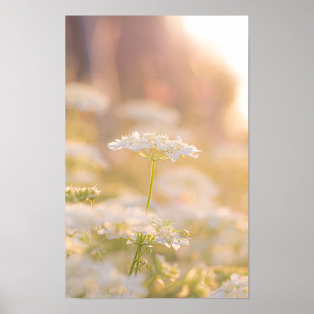 Poster Sonhando com as Flores (Frente)