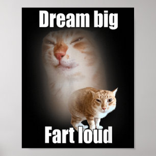Poster Sonhe Grande Peidar Alto Meme de Gato Dito Diverti