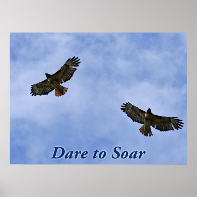 Pôster Sonho (Frente)