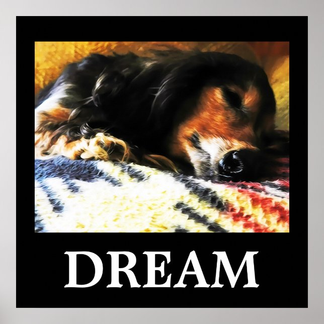 Poster Sonho (Frente)