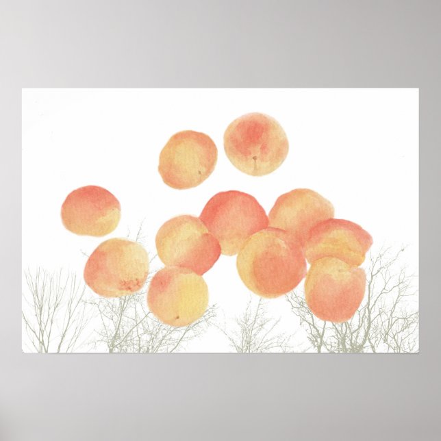 Poster Sonho com damascos no inverno (Frente)