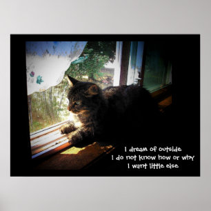 Pôster Sonho com o Haiku Externo