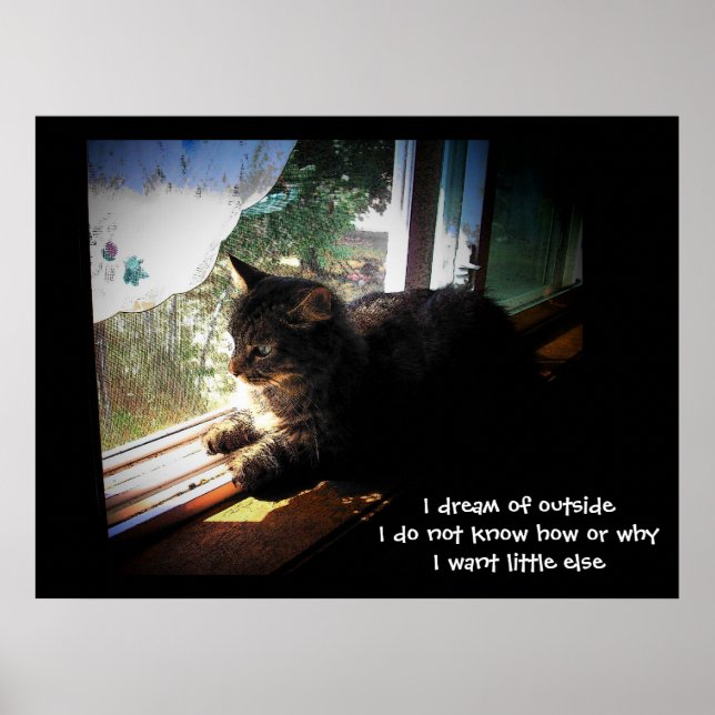 Pôster Sonho com o Haiku Externo (Frente)