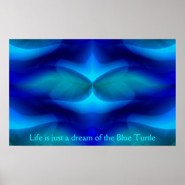 Poster Sonho da Tartaruga Azul (Frente)