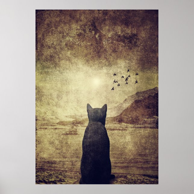 Pôster Sonho de Dia (Frente)