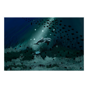 Pôster Sonho de golfinho