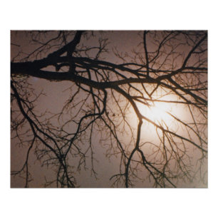 Pôster Sonho de Lua