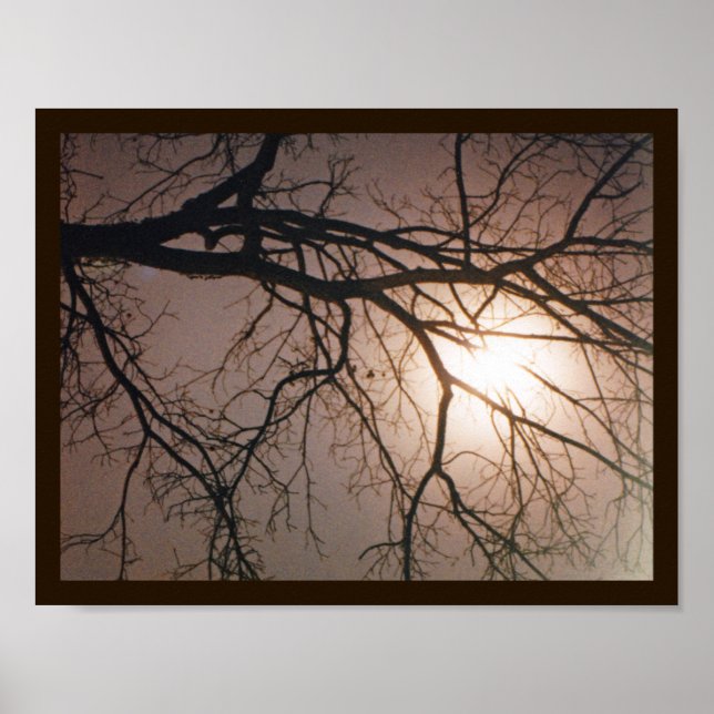 Poster Sonho de Lua (Frente)