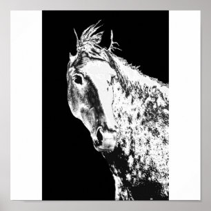 Pôster sonho de prata