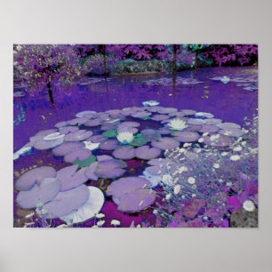 Pôster Sonho de Purple Lake