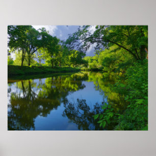 Poster Sonho no parque