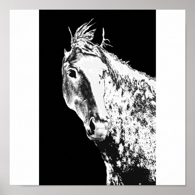 Pôster sonho prateado (Frente)