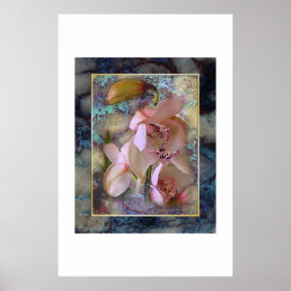 Pôster Sonho tropical