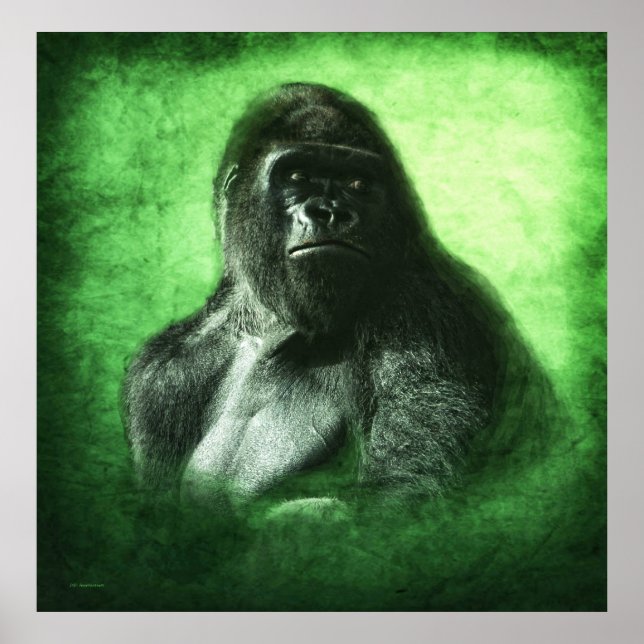 Poster Sonho Verde (Frente)