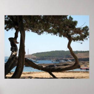 Pôster Sonhos de Ibiza