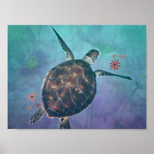 Poster Sonhos De Tartarugas Marinhas (Frente)