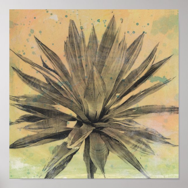 Poster Sonhos do Deserto | Planta Verde (Frente)