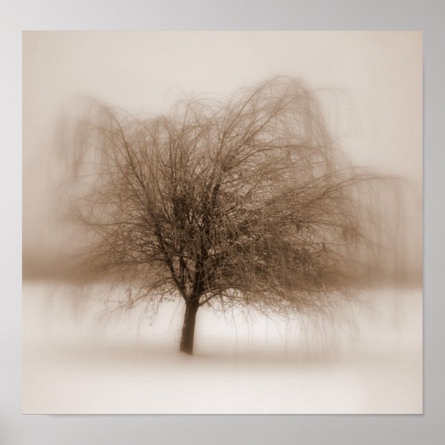 Pôster Sonhos Místicos (Frente)