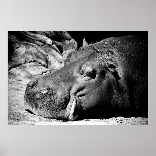 Poster Sonolência (Frente)