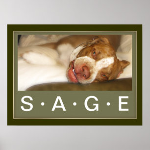 Poster sonolento da menina