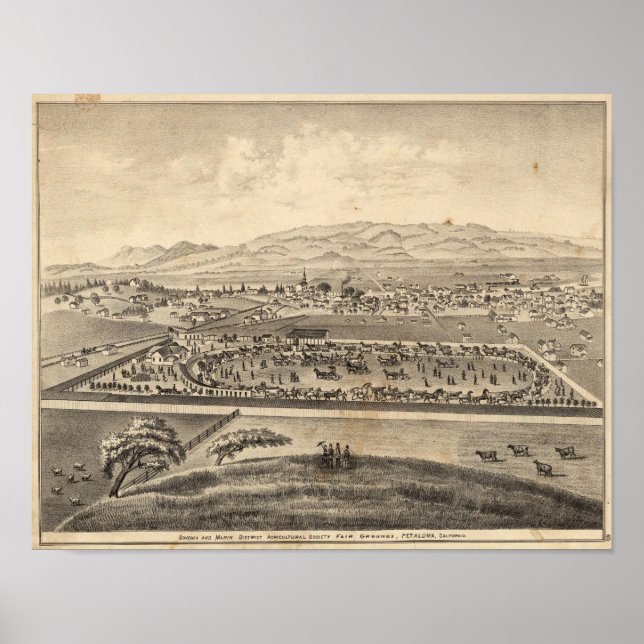 Pôster Sonoma e Marin District Agricultural Society (Frente)