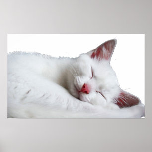 Pôster sooooooooooooooo sonolento