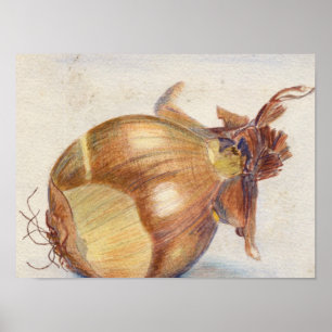 Pôster Sopa da cebola?